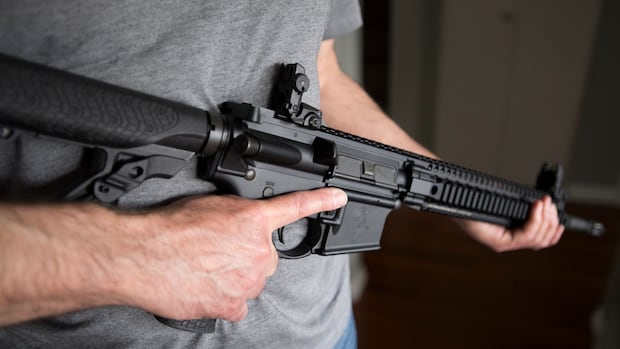 No banned firearms have been sent to Ukraine, despite government promise [Video]