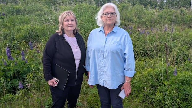 Stratford townhouse proposal would be destructive to wetland, nearby residents warn [Video]
