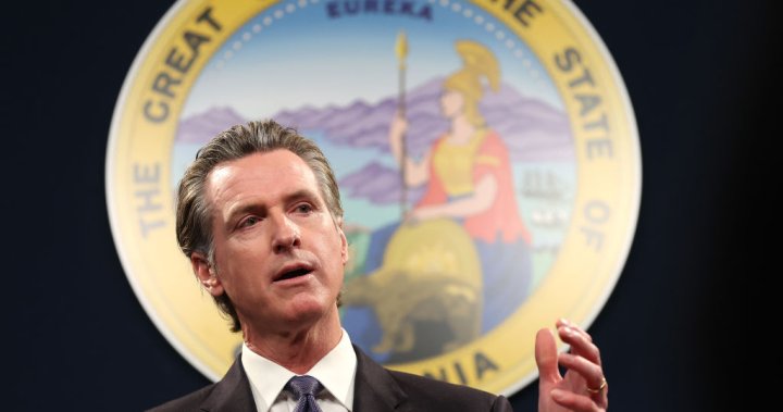 Do not give in to him: California Gov. Newsom to residents amid ICE raids – National [Video]