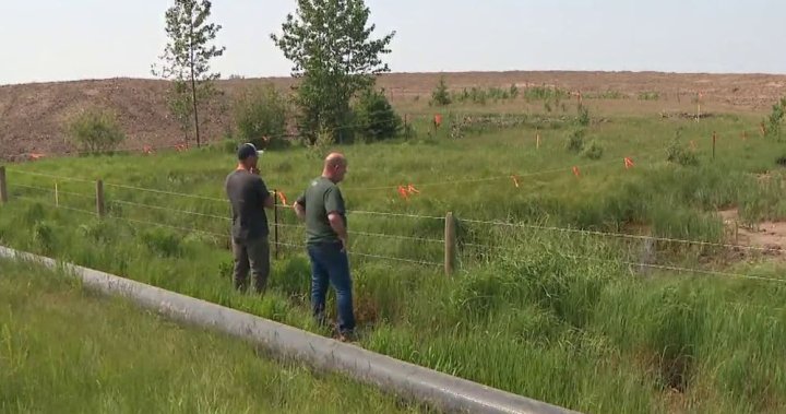 Central Alberta farmers concerned by fracking operations use of water [Video]