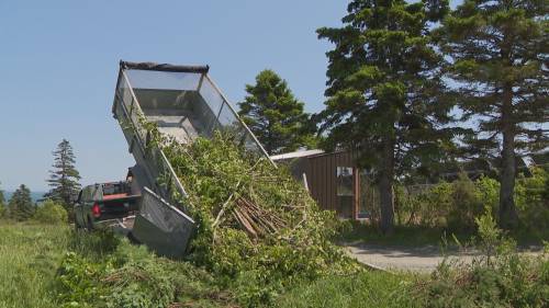 Hope for Wildlife asking for tree donations for injured animals [Video]