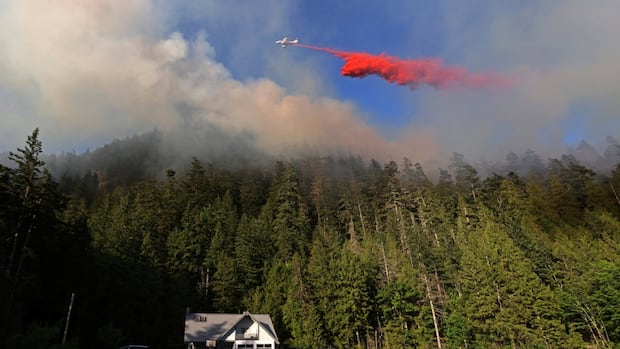 Squamish wildfire grows in size, but officials say conditions improving [Video]