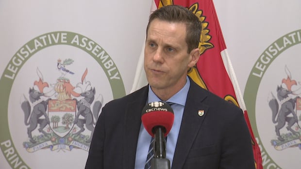 Rob Lantz confirms he won’t run for permanent leadership of P.E.I. Progressive Conservatives [Video]