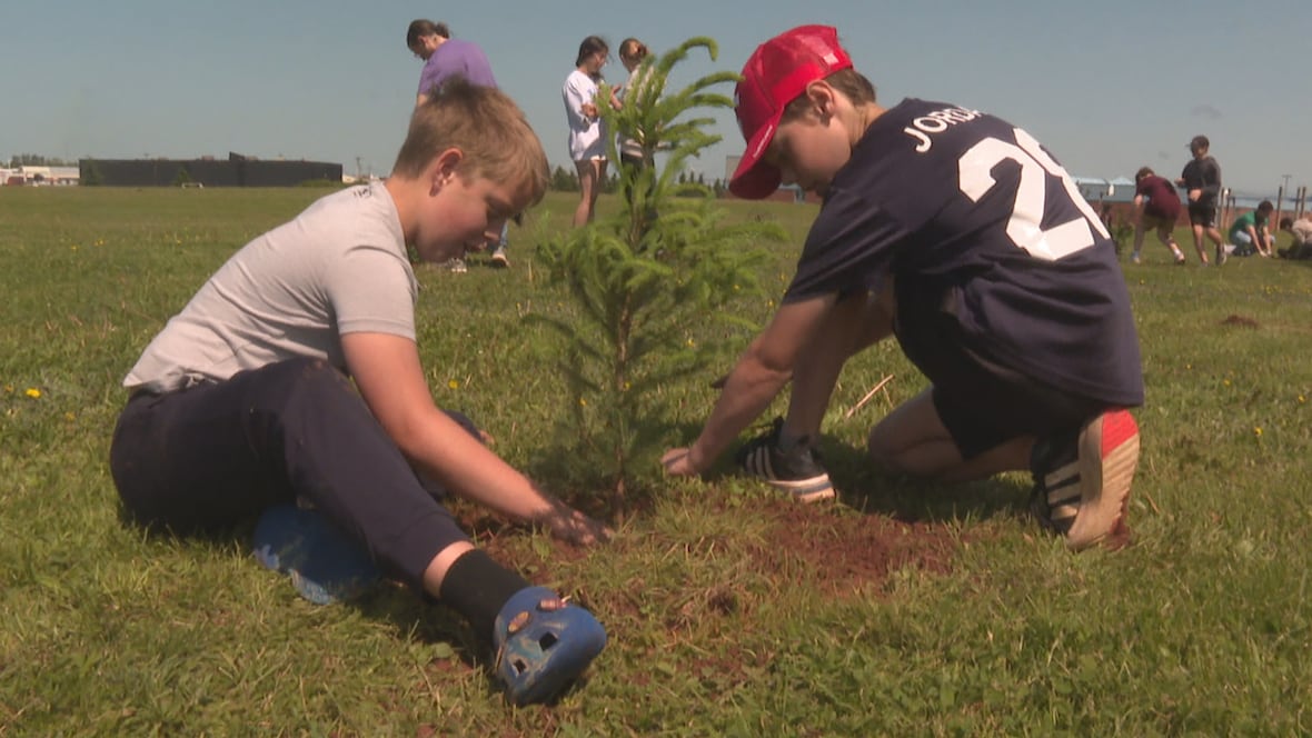 Summerside students learn about climate action by planting trees on their school grounds [Video]