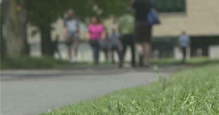 A look at some of the work being done in N.B. to prevent intimate partner violence – New Brunswick [Video]