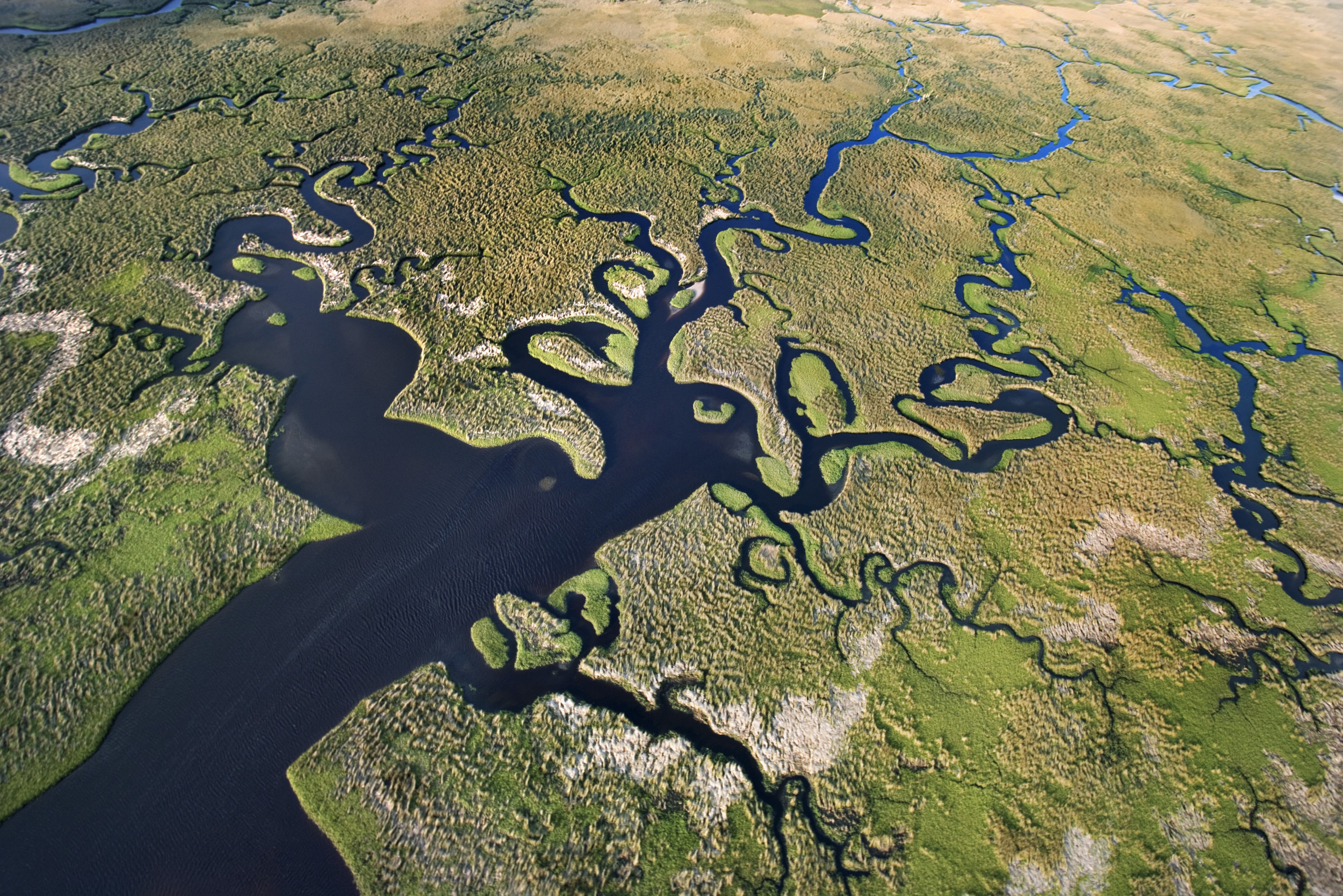 Passenger Captures Drought-Stricken Everglades in Heartbreaking Plane Video