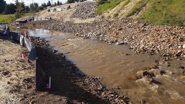 City of Dawson Creek warns residents to prepare for floods even as wildfires loom [Video]