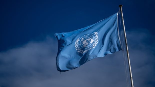 United Nations to vote on demand for immediate Gaza ceasefire despite U.S., Israel opposition [Video]