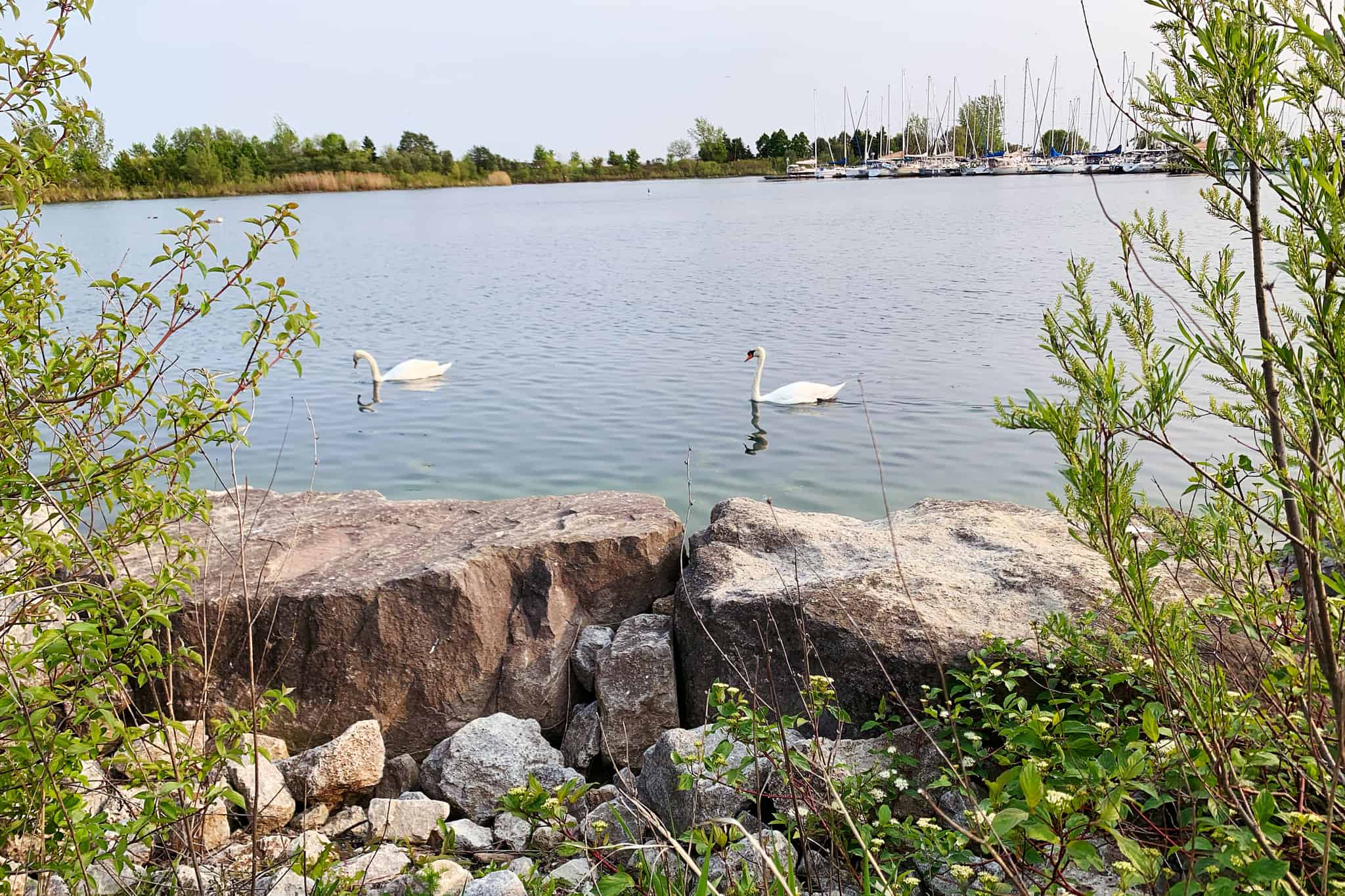 Temperature drop expected this weekend in southern Ontario [Video]