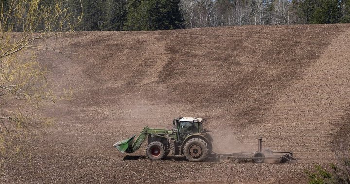 As N.S. farmers struggle, report urges steps to help increase stagnant local sales – Halifax [Video]