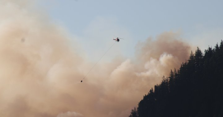 Squamish wildfire balloons to 59.5 hectares, containment lines holding - BC [Video]